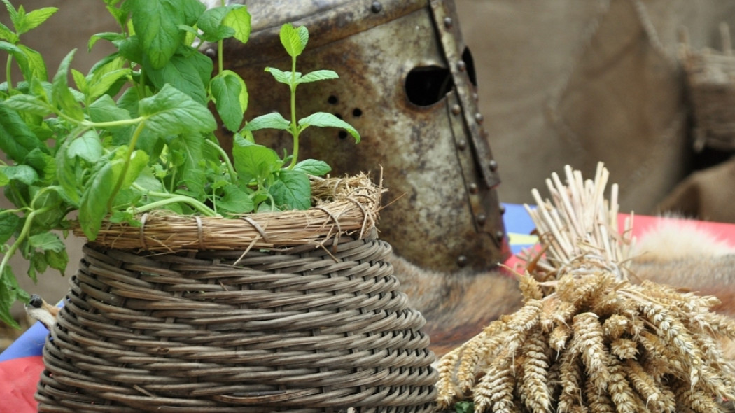 rośliny w historii fot. NadineDoerle - Pixabay.com