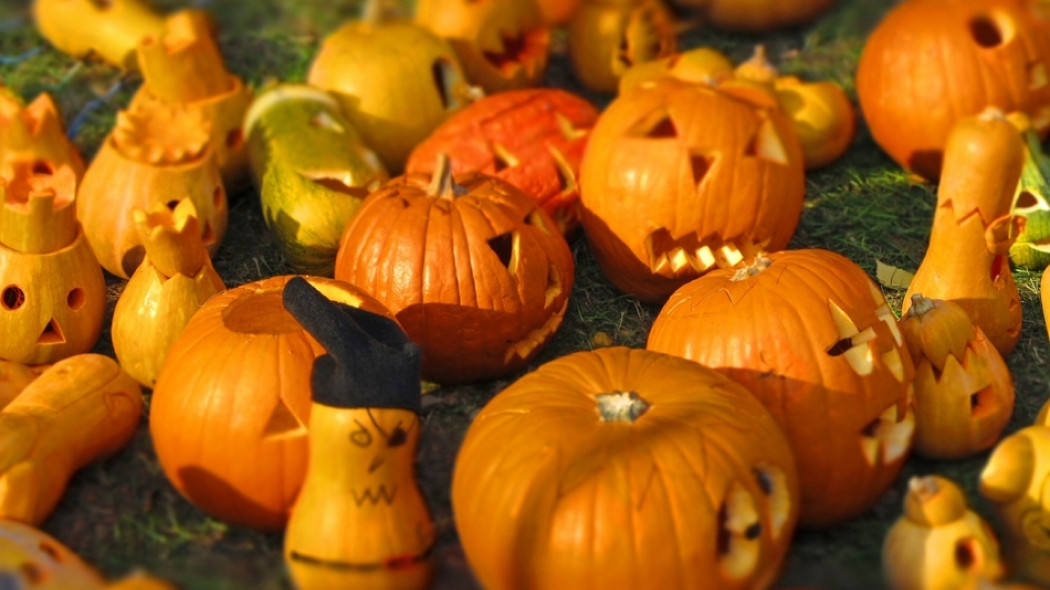 pomysły na lampiony z dyni na halloween fot. Leslie Eckert - Pixabay.com