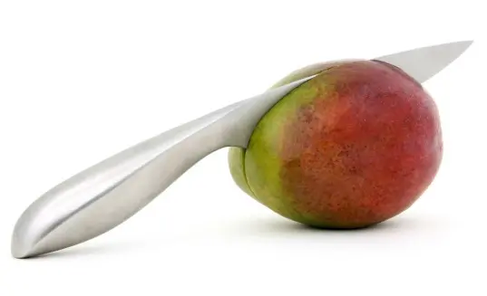 mango owoc i pestka fot. Robert Owen-Wahl - Pixabay.com