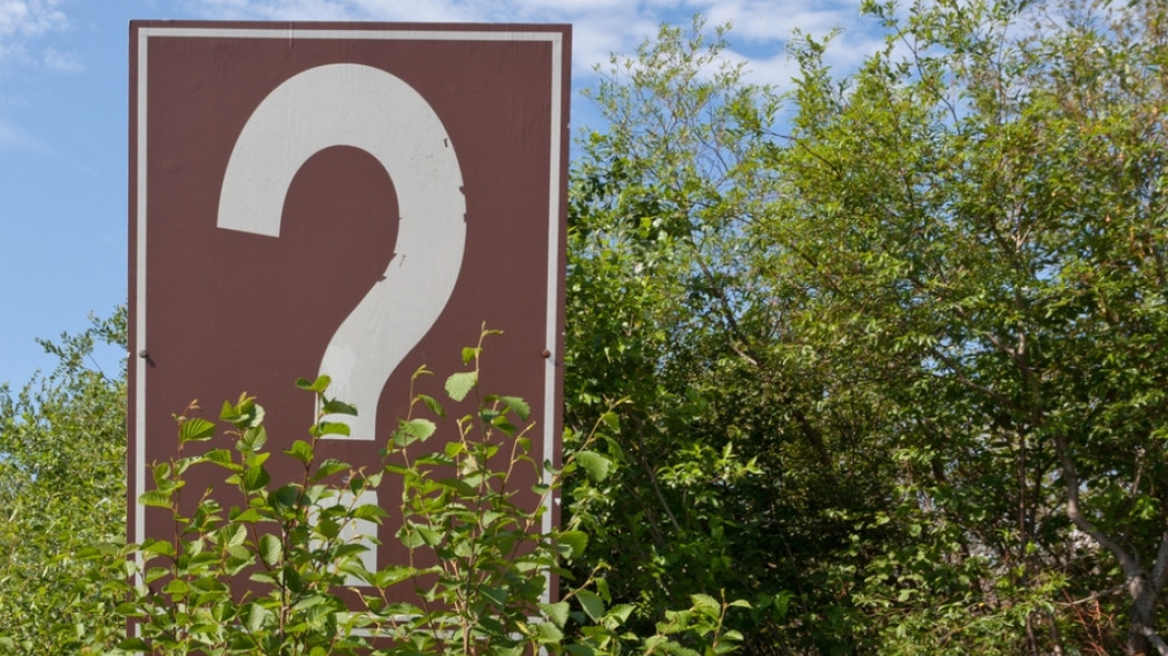 co to za roślina fot. PiLensPhoto - Fotolia