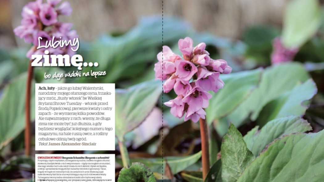 Lubimy zimę... bo daje widoki na lepsze - Gardeners World Polska 1-2017