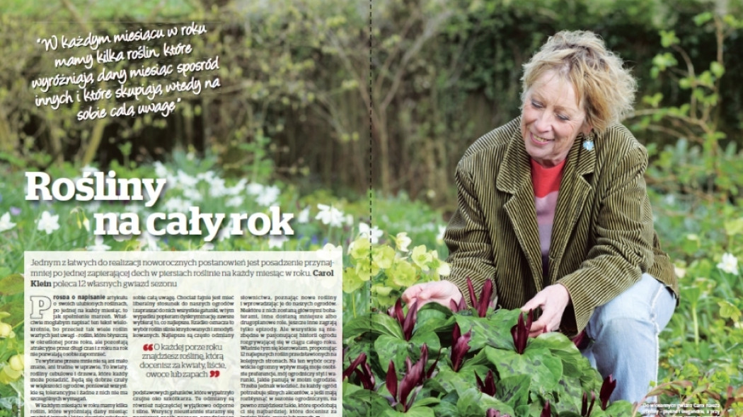 Ulubieńcy Carol - Rośliny na cały rok - Gardeners World Polska 1-2017