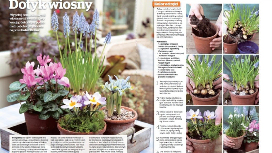 Wiosenne kwiaty - Dotyk wiosny - Gardeners World Polska 1-2017