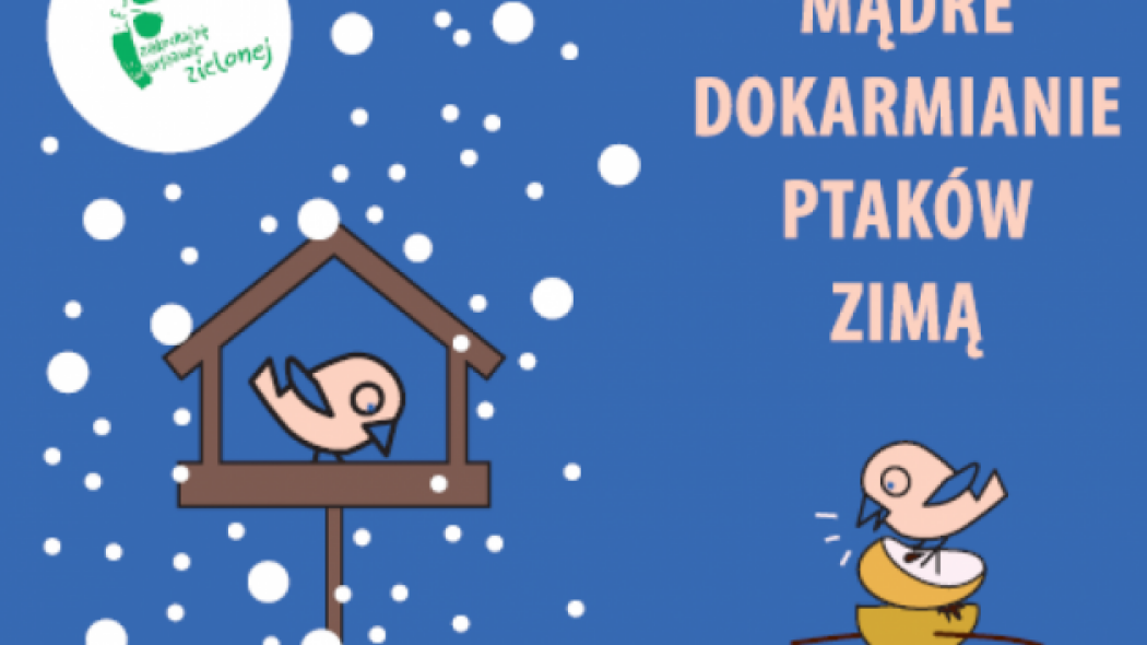 Jak mądrze dokarmiać ptaki zimą aby im nie szkodzić