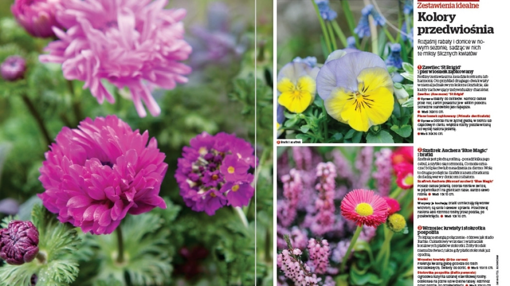 Zestawienia idealne - Kolory przedwiośnia - Gardeners World Polska 2-2017
