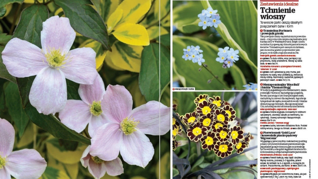Zestawienia idealne - Tchnienie wiosny - Gardeners World Polska 2-2017