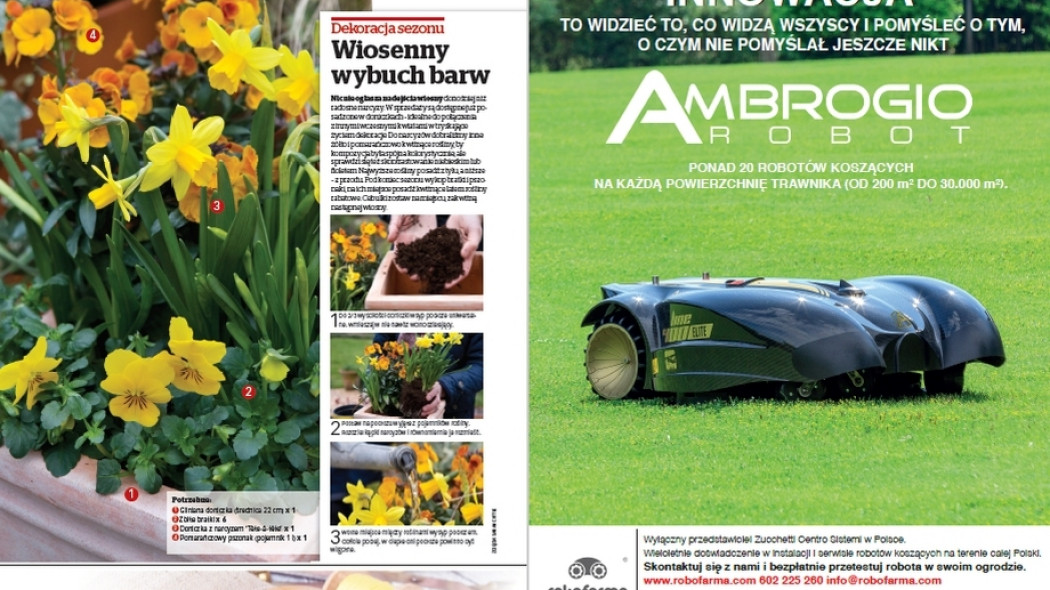 Dekoracja sezonu - Wiosenny wybuch barw - Gardeners World Polska 2-2017