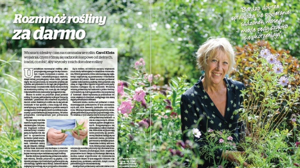 Rozmnóż rośliny za darmo - Gardeners World Polska 2-2017