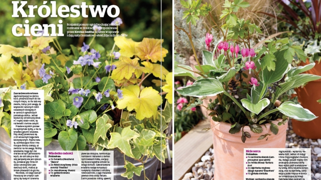 Królestwo cieni - Gardeners World Polska 2-2017