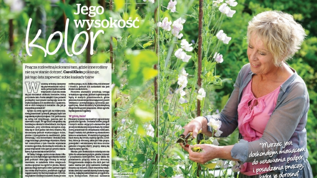 Carol o pnączach - Jego wysokość kolor - Gardeners World Polska 2-2017