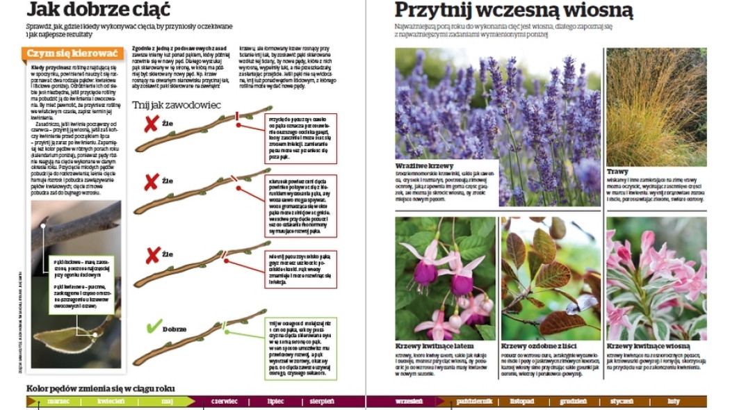 Podstawy przycinania - Gardeners World Polska 2-2017