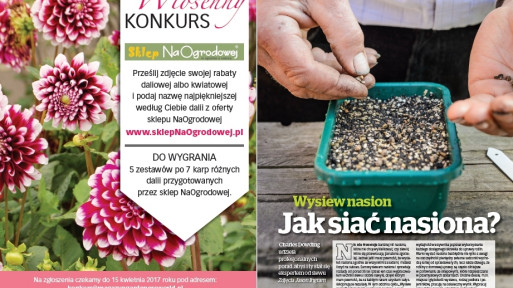 Krok po kroku: Jak siać nasiona?