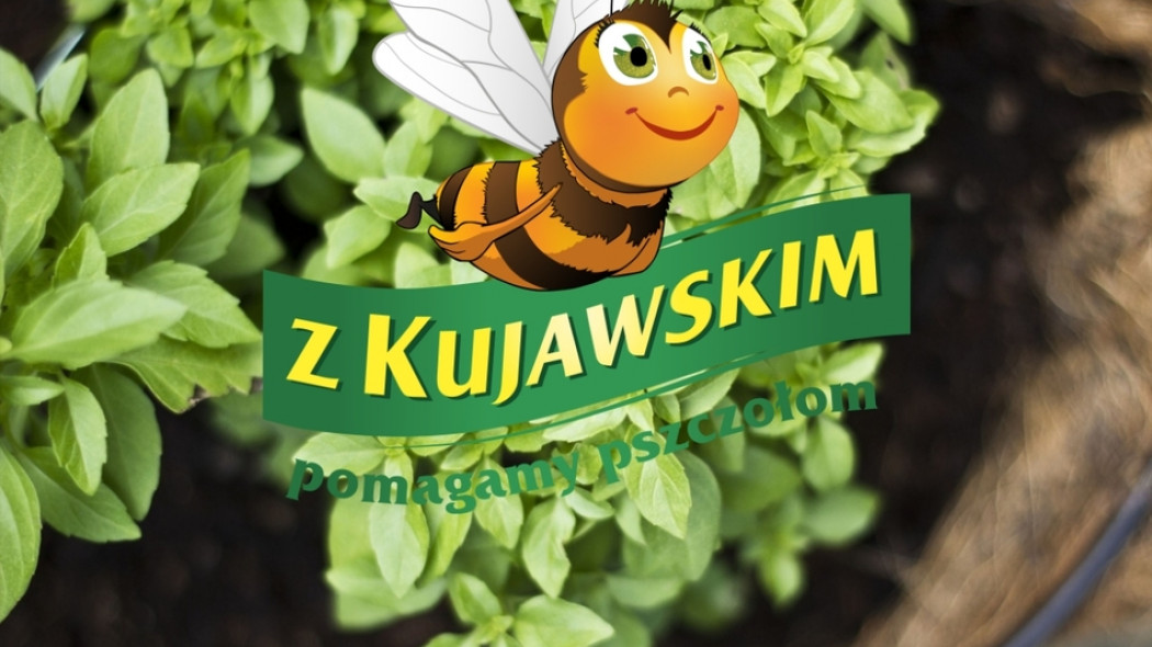 Konkurs zioła - Z Kujawskim pomagamy pszczołom