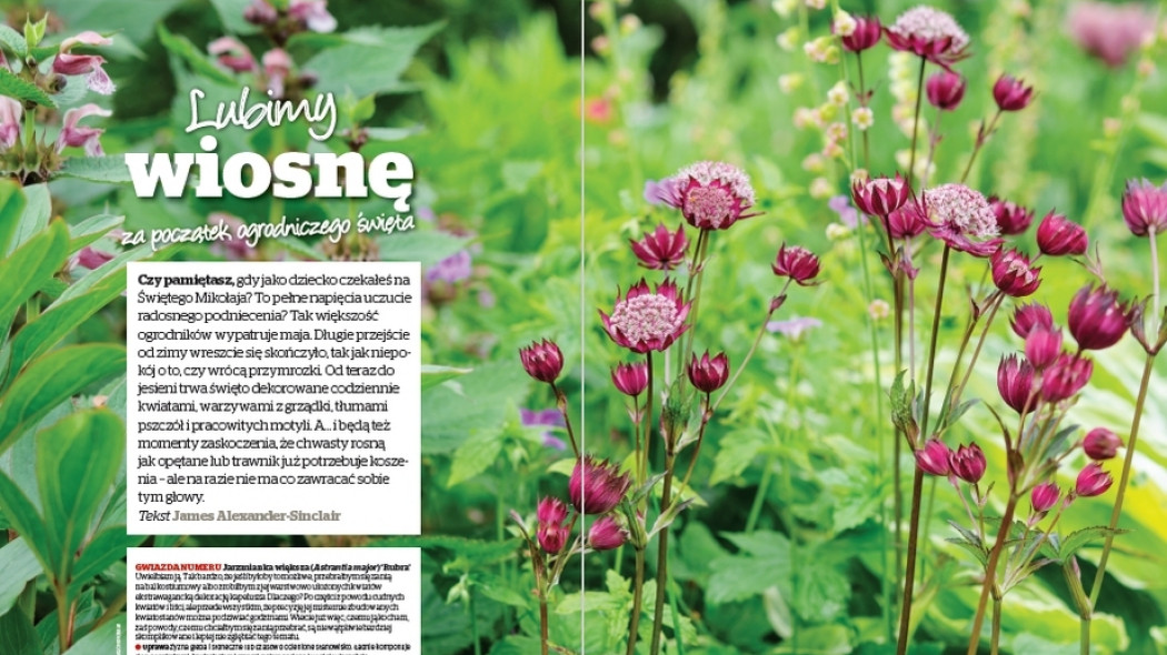 Lubimy wiosnę za początek ogrodniczego święta - Gardeners World Polska Maj-Czerwiec 2017
