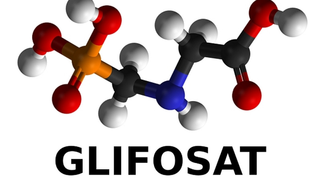 glifosat