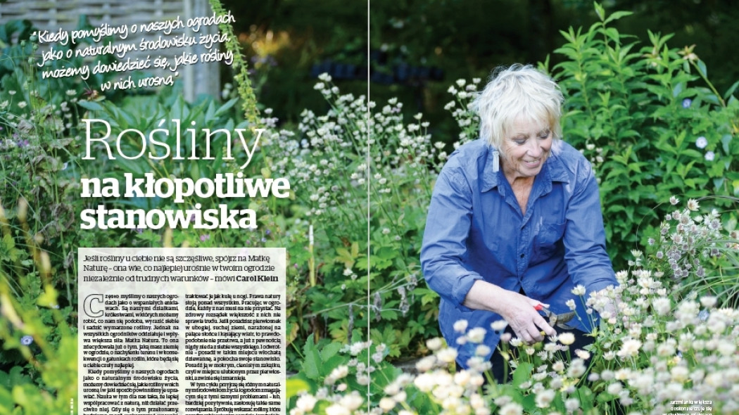 Rośliny na kłopotliwe stanowiska - Gardeners World Polska 3-2017