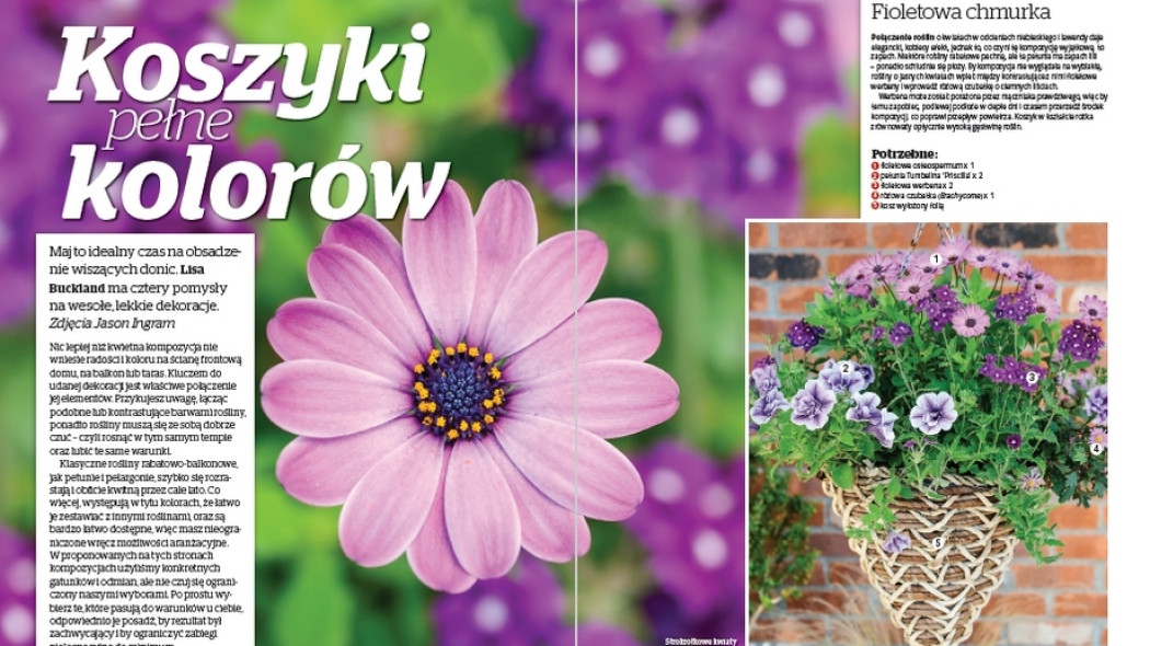 Wiszące doniczki - koszyki pełne kolorów - Gardeners World Polska 3-2017