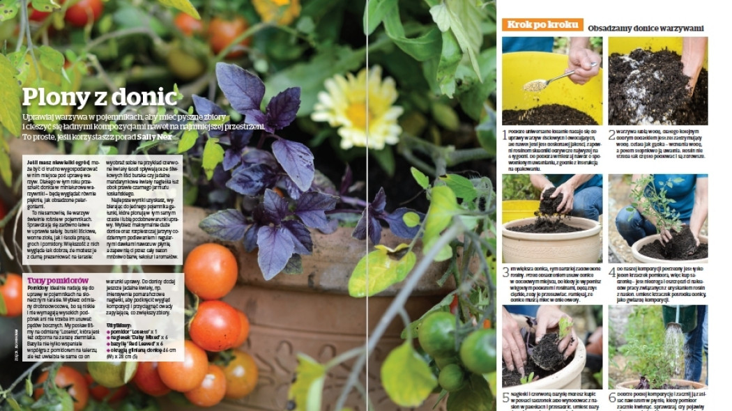 Plony z donic - Gardeners World Polska 3-2017