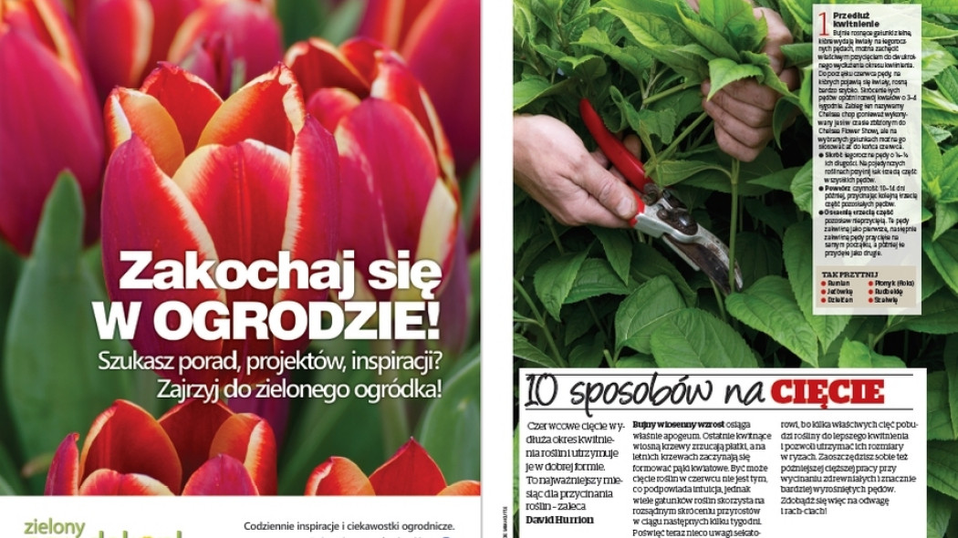 10 sposobów na letnie cięcie - Gardeners World Polska 3-2017