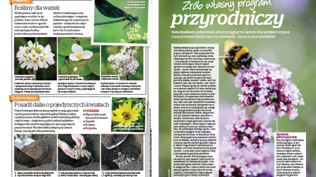 Zrób własny program przyrodniczy - Gardeners World Polska 3-2017