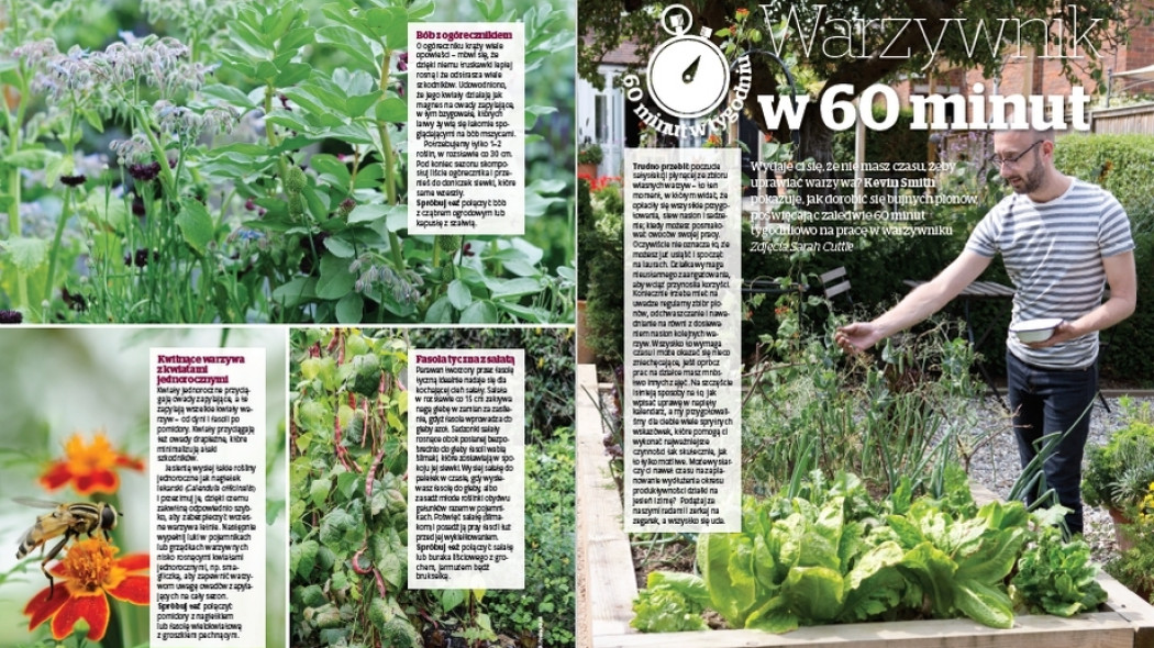 Warzywnik w 60 minut tygodniowo - Gardeners World Polska 3-2017