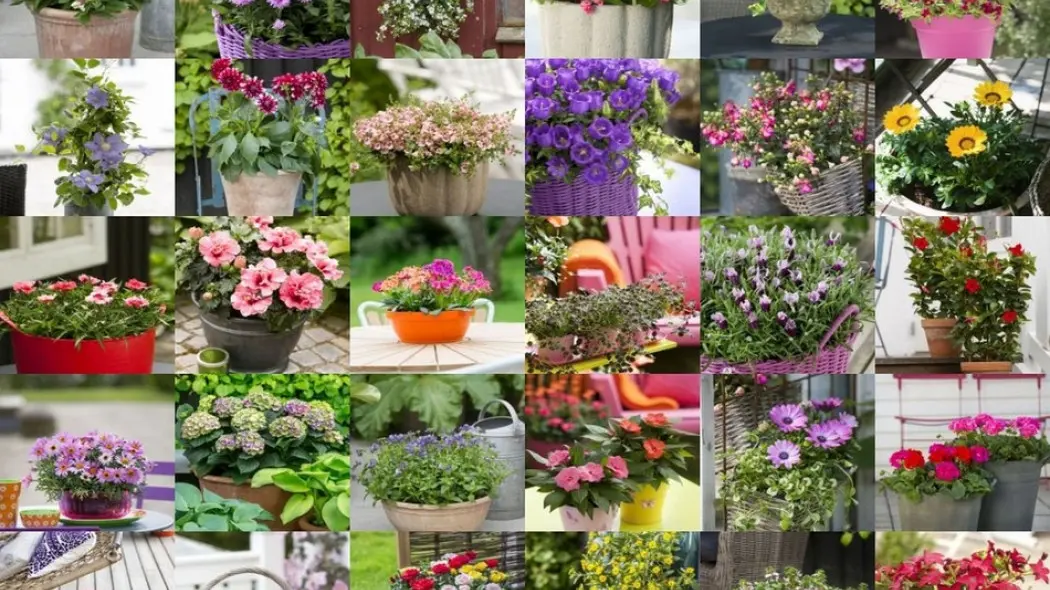 30 pomysłów na balkon i taras