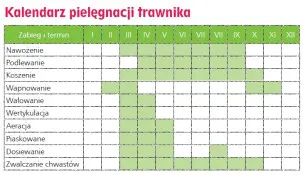 Kelendarz pielęgnacji trawnika - zielonyogrodek.live