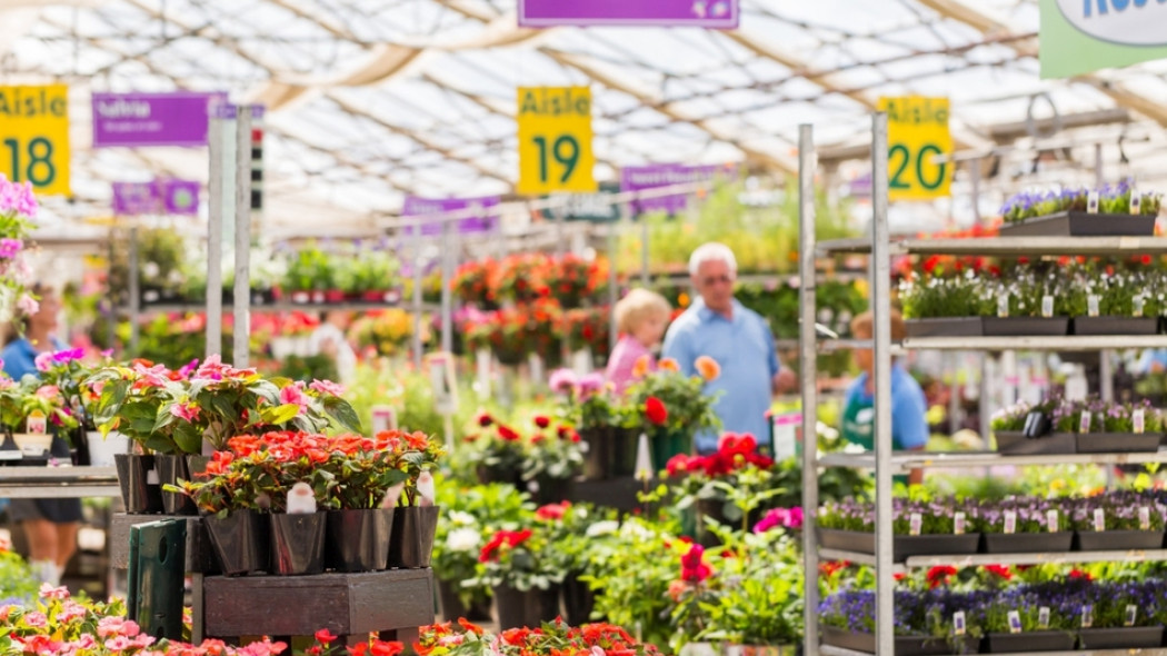 rośliny w supermarkecie fot. arinahabich - Fotolia.com