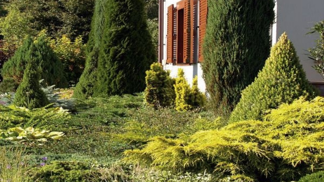 Ogród zgodnie z zasadami feng shui, fot. L. Jampolska