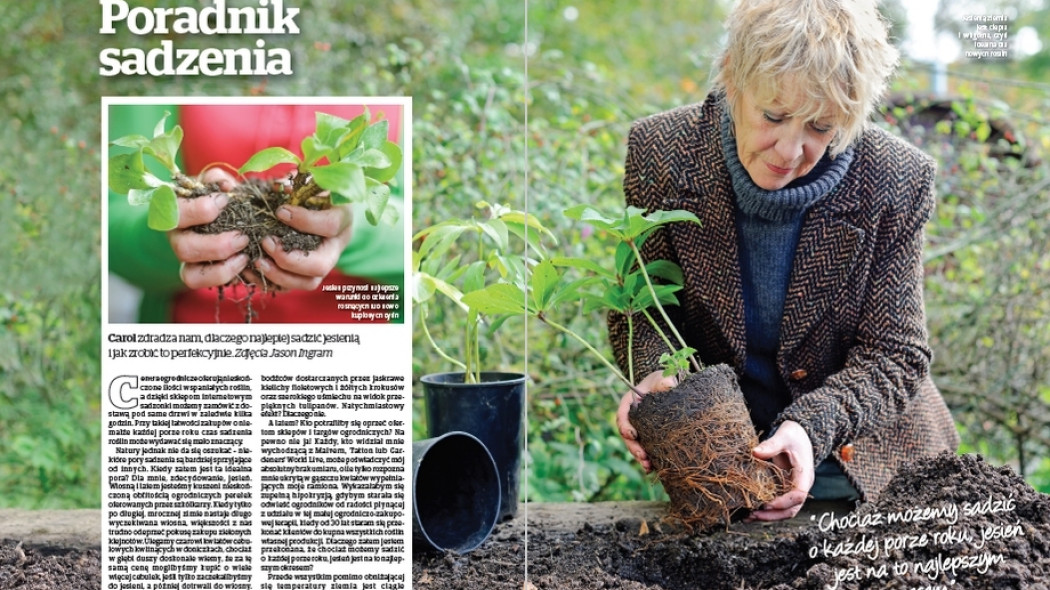 Poradnik sadzenia - Gardeners World Polska 5-2017