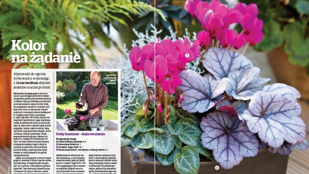 Kolor na żądanie - Gardeners World Polska 5-2017