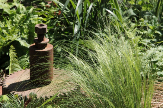 Walker`s Wharf Garden - Chelsea Flower Show 2017 - fot. Łukasz Skop