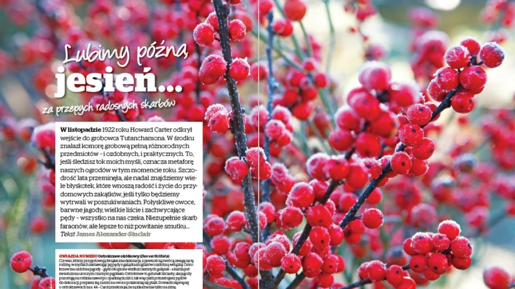 Lubimy późną jesień - Gardeners World Polska 6-2017