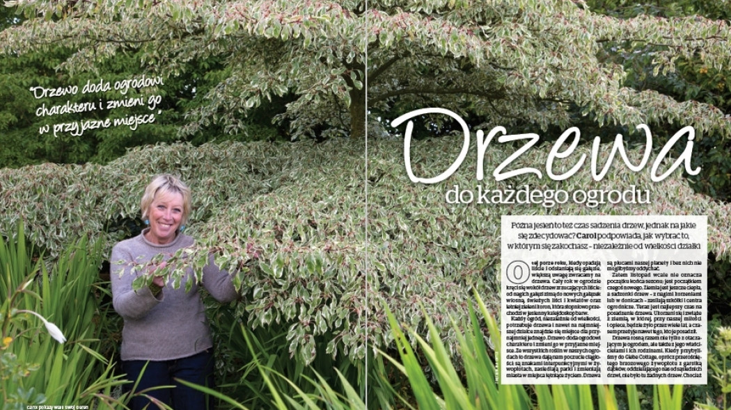Drzewa do każdego ogrodu - Gardeners World Polska 6-2017