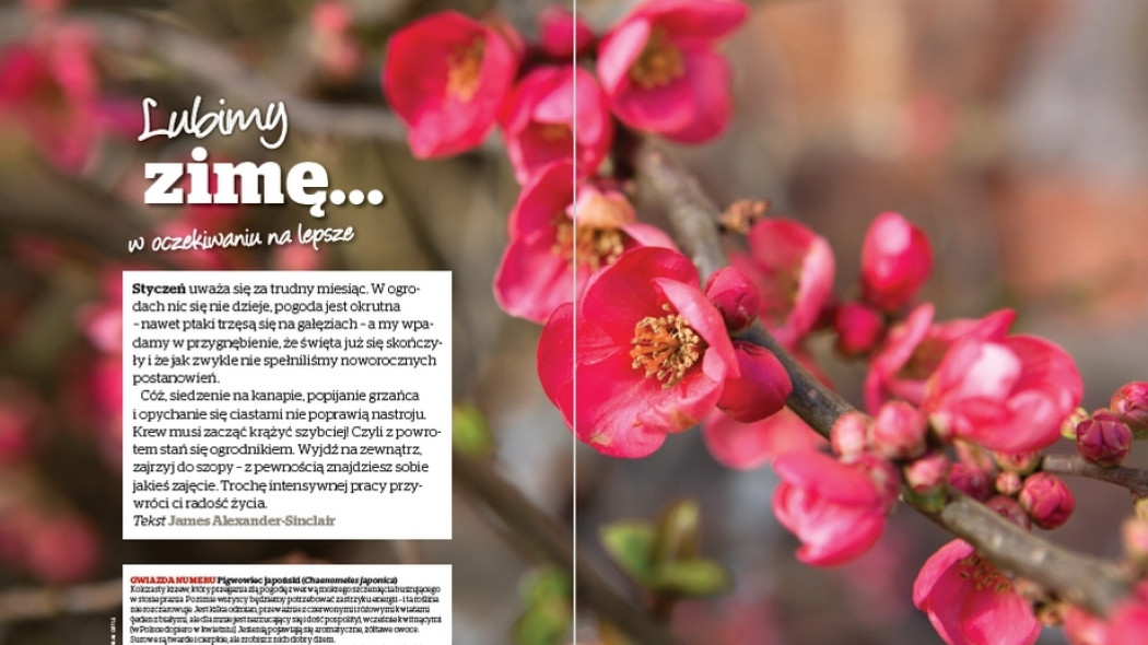 Lubimy zimę... w oczekiwaniu na lepsze - Gardeners World Polska 1-2018