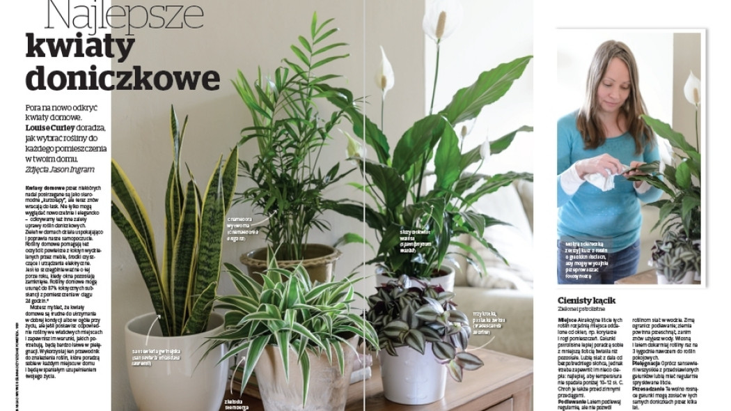 Najlepsze kwiaty doniczkowe - Gardeners World Polska 1-2018