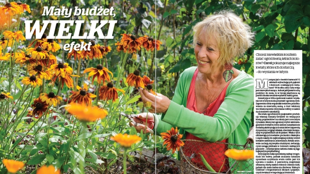 Kwiaty z nasion. Mały budżet - wielki efekt - Gardeners World Polska 1-2018