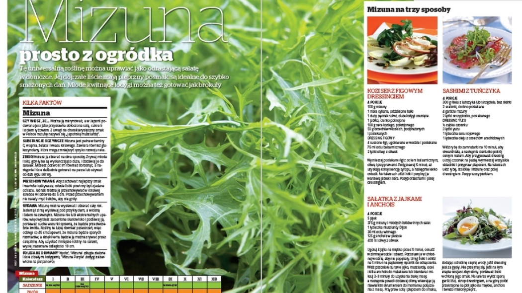 Mizuna prosto z ogródka - Gardeners World Polska 1-2018