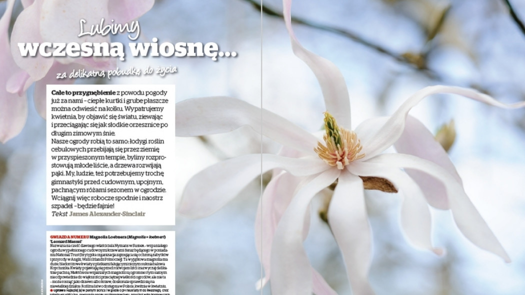 Lubimy wczesną wiosnę... za delikatna pobudkę do zycia - Gardeners World Polska 2-2018