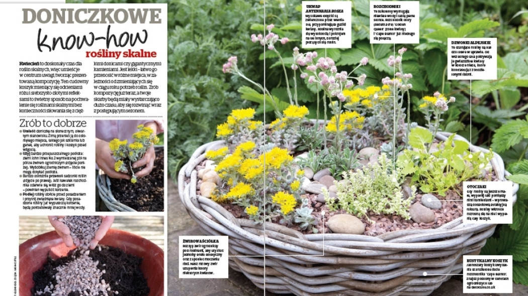 Doniczkowe know-how. Rośliny skalne - Gardeners World Polska 2-2018