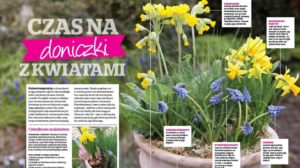 Czas na doniczki z kwiatami - Gardeners World Polska 2-2018
