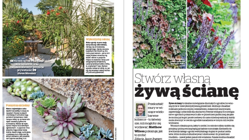 Stwórz własną żywą ścianę - Gardeners World Polska 2-2018
