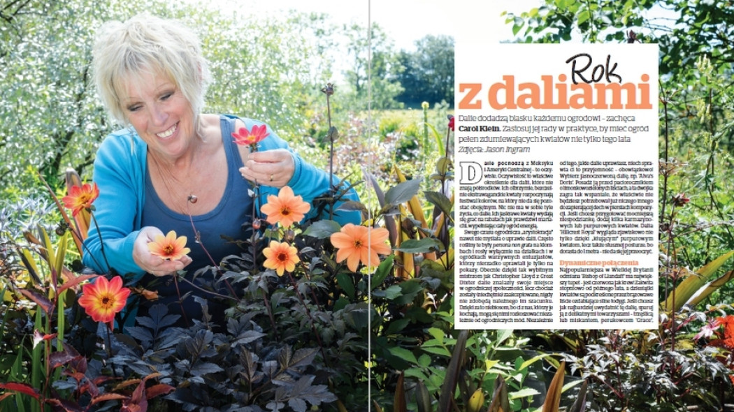 Carol. Rok z daliami - Gardeners World Polska 2-2018