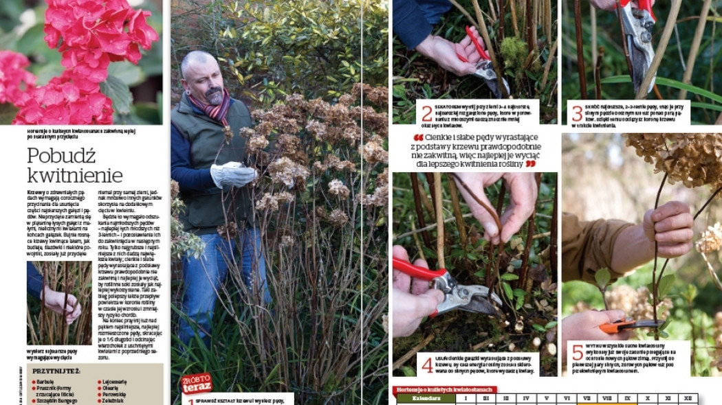 Cięcie. Pobudź kwitnienie - Gardeners World Polska 2-2018