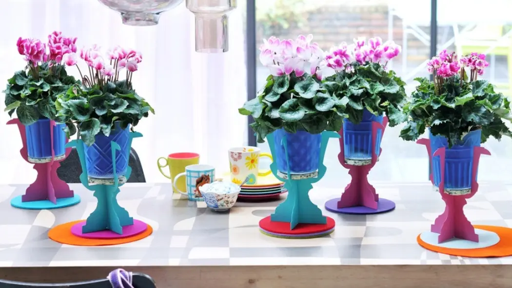 cyklamen w doniczce fot. Flower Council Holland