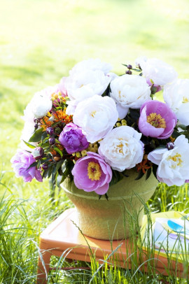 piwonia w wazonie fot. Flower Council Holland