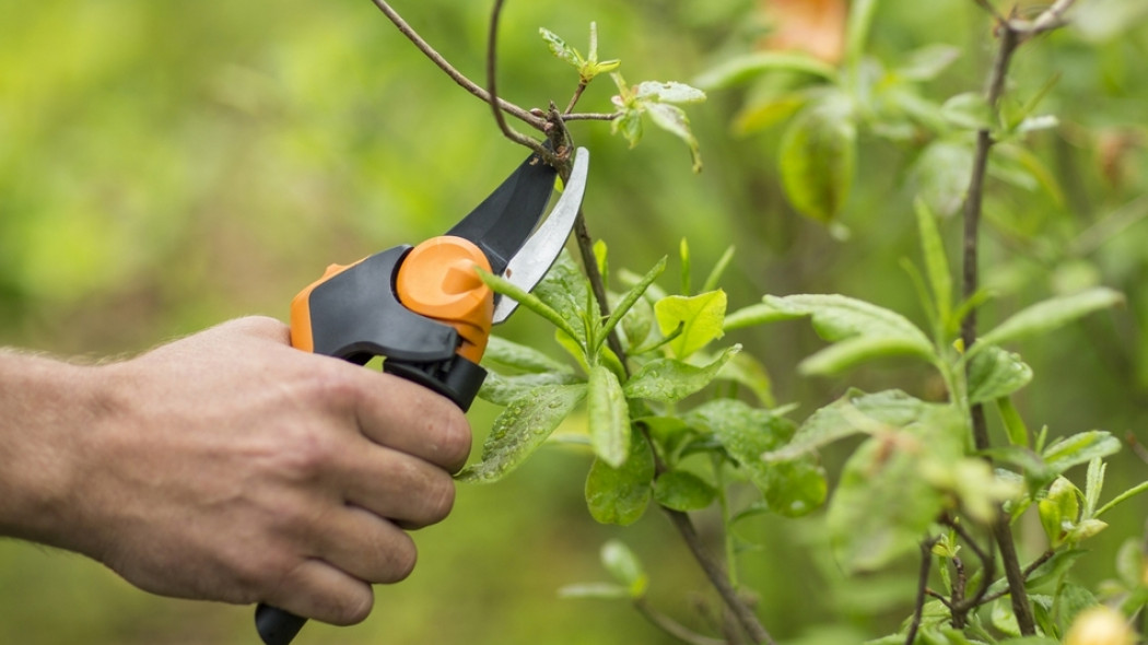 Sekator nożycowy PX94 Fiskars