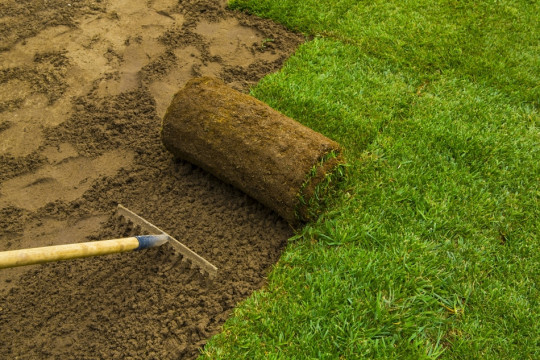 układanie darni z rolki fot. iko - Fotolia.com