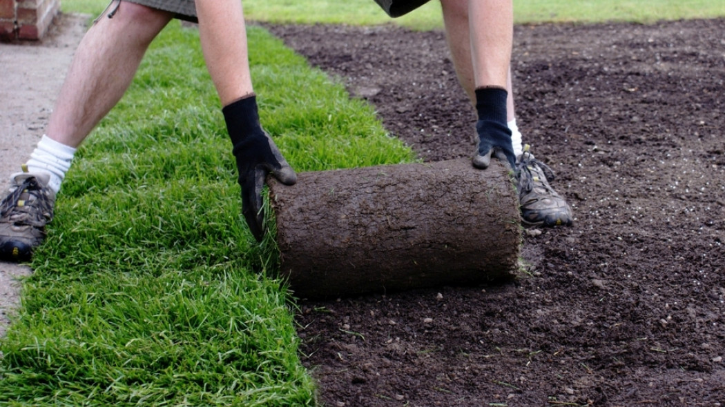 zakładanie trawnika z rolki fot. Horticulture - Fotolia.com