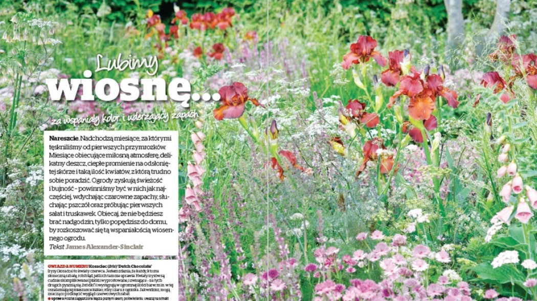 Lubimy wiosnę... za wspaniały kolor i uderzający zapach - Gardeners World Polska 3-2018